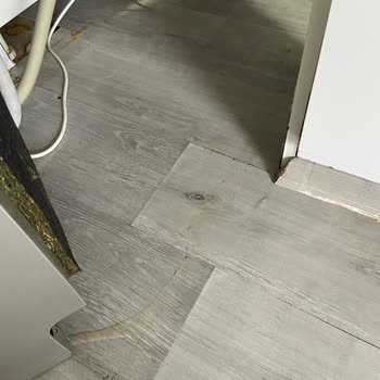 Vestel Vermiş Olduğu Zararımı Tazmin Etmiyor