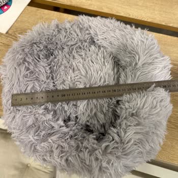 Pofudukpati Pofuduk Pati Şikayet