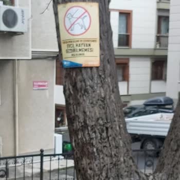 Üsküdar Belediyesi Yeşil Alan Yasağı