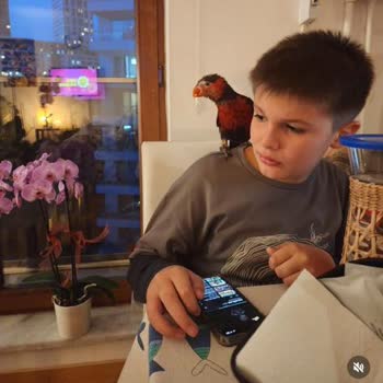 One Tower AVM Ve Mağazası Pet Empire Canlı Hayvan Sorumsuzluğu