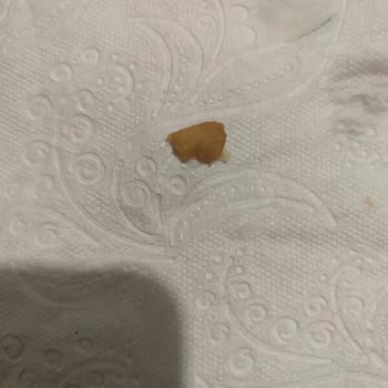 Tatlıbak İnsanlara Glikoz Yedirmesi