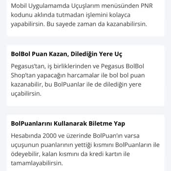 Pegasus Puanla Dilediğin Yere Uçamıyorsun