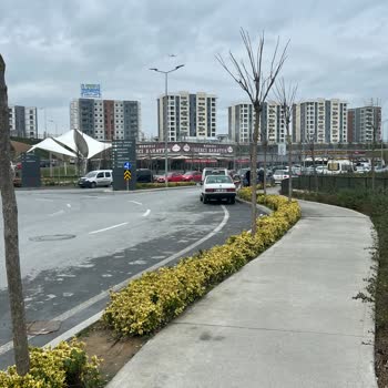Yediemin Otopark Bebek Tedavisi Sırasında Araç Çilesi!