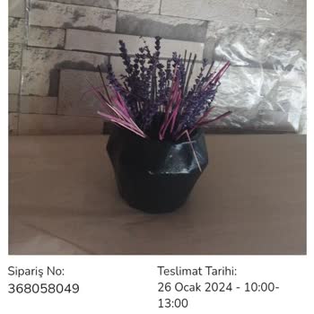 ÇiçekSepeti Çiçek Sepetinin Çalıştığı Firmanın Saygısızlığı