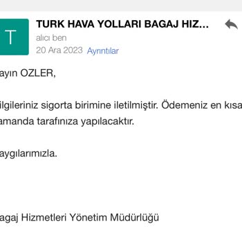 THY Bagaj Aksaklığı Çözememe