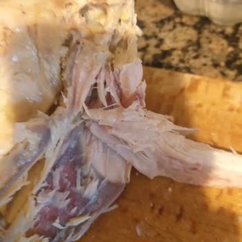 Trakya Köy Ürünleri Yöresel Kampanyalı Köy Tavuğu