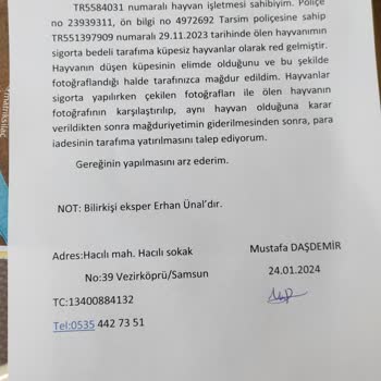 TARSİM Düşen Küpe Sıkıntısı