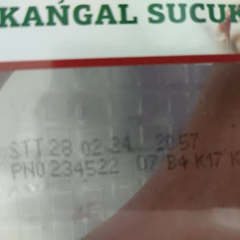 Torku Kangal Sucuk Küflenme