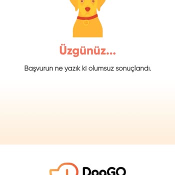 Doggo Walker'lik Eğitim Ve Sonraki Şartlar