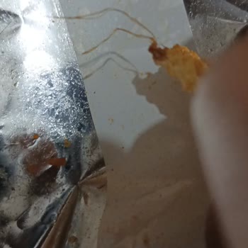 Ruffles Cips İp Çıkma