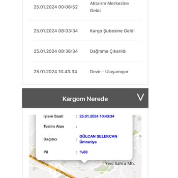 Bir Günde Kargo Kargo Teslimatı Sorunu İle Karşı Karşıya Kaldım