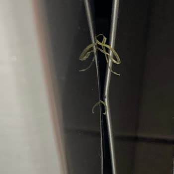 Bosch Malatya Yetkili Servis