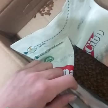 Temiz Mama BonaCibo Yavru Kedi Mama Patlak Geldi!