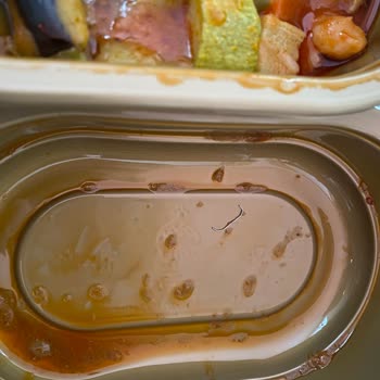 Adile Sultan Ev Yemekleri Yemeğin İçinde Zımba Teli