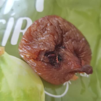 BİM Mağazasında Satılan Perfect Delights Marka İncirden Kurt Çıktı!