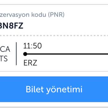 THY Check-in Problemi