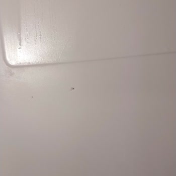 Siemens Ev Aletleri Buzdolabı Delik