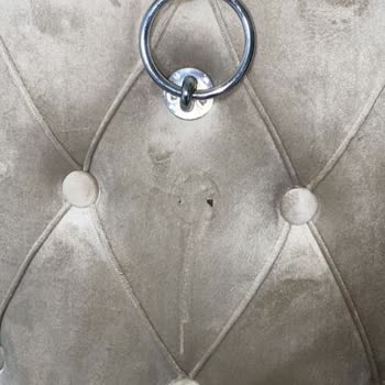 Canisa Concept Firması Pişmanlıktır!