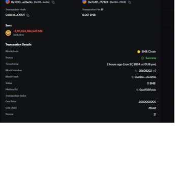 Golden Inu and BNB Disappeared from Trust Wallet