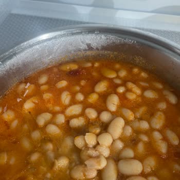 Profilo Buzdolabındaki Sebze Ve Yemeklerin Buz Tutması