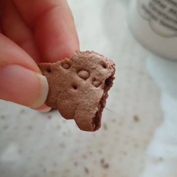 BİM Bisküviden Kıl Çıktı!