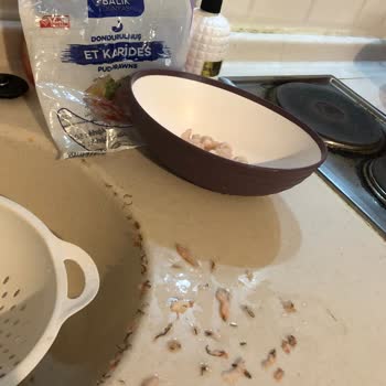 Balık Dünyası Bağırsaklı Et Karides