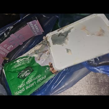 Pınar Et ve Süt Paket Dışına Taşan Küf: Sağlık Tehlikesi