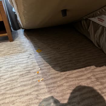 Armada Grannos Thermal Termal Otelde Hijyen Skandalı Ve Müdahale Çağrısı