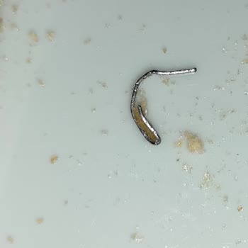 Aktürk Helva Gofret İçinden Çıkan Sivri Cisimle İlgili Şikayet