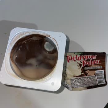 Sütaş Puding İçinde Küflenme