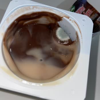 Sütaş Puding İçinde Küflenme