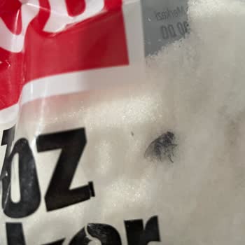 Şok Marketler Toz Şekerden Sinek Çıktı