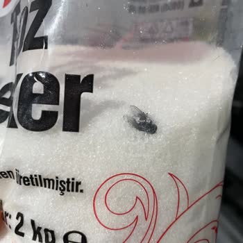 Şok Marketler Toz Şekerden Sinek Çıktı
