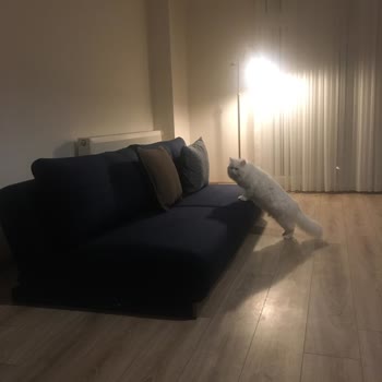 Doğtaş Atakum Şubesinde Hüsranla Biten Koltuk Alışverişi