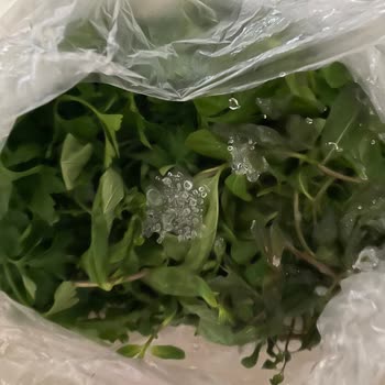 Bosch Aldığımızdan Beri Bozuk Olan Buzdolabı!