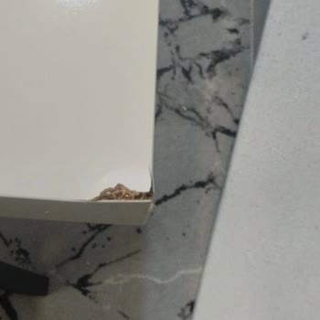 Vivense Kırık Masa Gönderdi