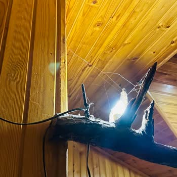 Abant Dere Otel Pişmanlıktır