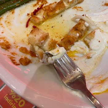 Baydönerin İçinden Çıkan Böcek