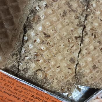 Eti Gıda Böcekli Çikolata Şoku!