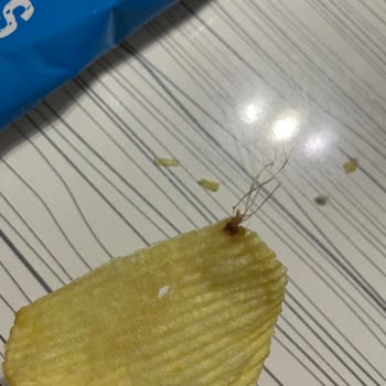 Ruffles İlginç Patates Tanesi