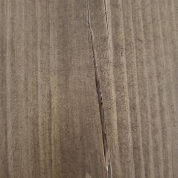 Turkiano Merv Art Gallery Kalitesizliği