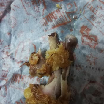 Popeyes Eksik Yanmış Ve Kemikli Menüsü