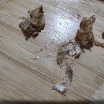 Çitlekçi Leblebiden Tuhaf Bir Madde Çıktı.