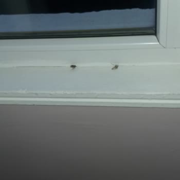 Thermalium Wellness Park&nbsp; Hijyenden Bihaber