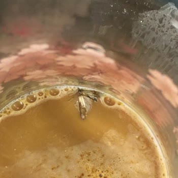 BİM Vip Böcekli Kahve!