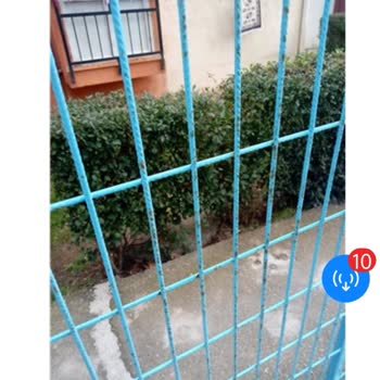 Rossmann Çalılıklara Bırakılan Kayıp Sipariş Kolisi