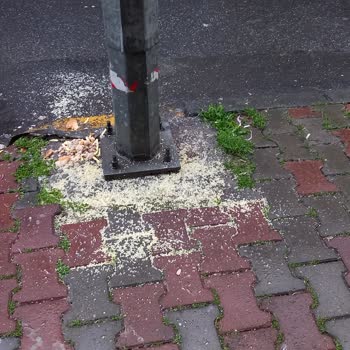 Küçükçekmece Belediyesi Sokak Pisliğine Çözüm İstiyoruz