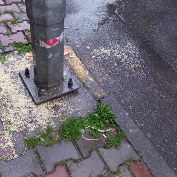 Küçükçekmece Belediyesi Sokak Pisliğine Çözüm İstiyoruz