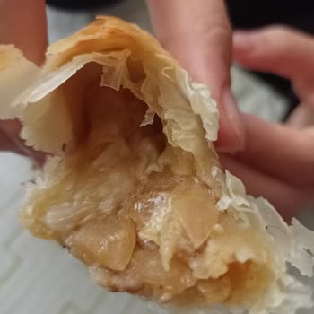 Ponti Kıymalı Kol Böreği Şikayet