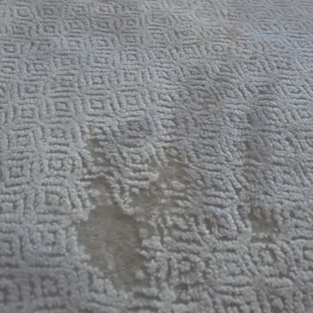 Keşke Halı Yıkama Halı Yıkama Fabrikası